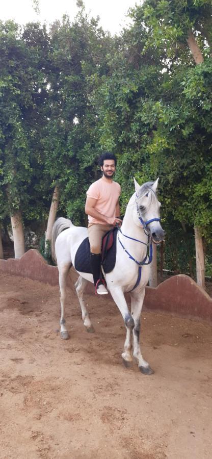 The Farm - Hotel & Horse Riding Кайро Екстериор снимка