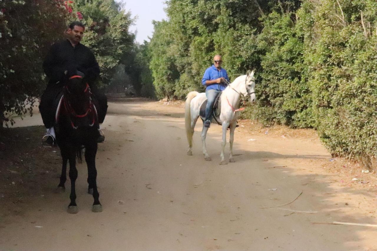 The Farm - Hotel & Horse Riding Кайро Екстериор снимка