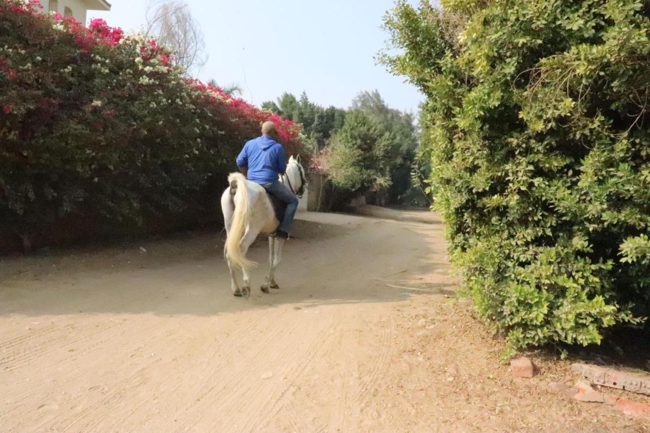 The Farm - Hotel & Horse Riding Кайро Екстериор снимка